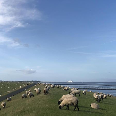 Wind Und Meer - Traumhaft An Der Nordsee Norddeich  Exteriér fotografie