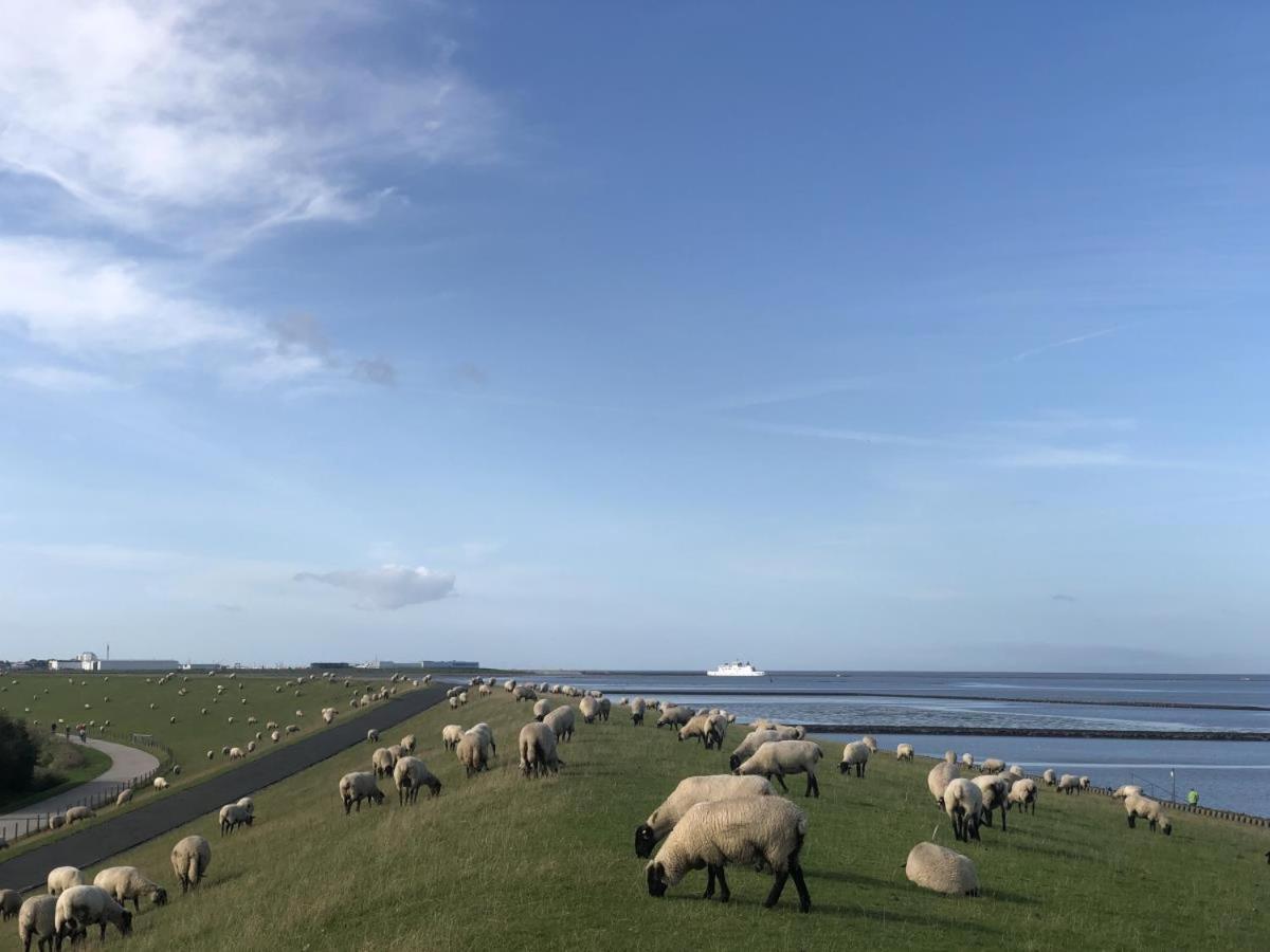 Wind Und Meer - Traumhaft An Der Nordsee Norddeich  Exteriér fotografie